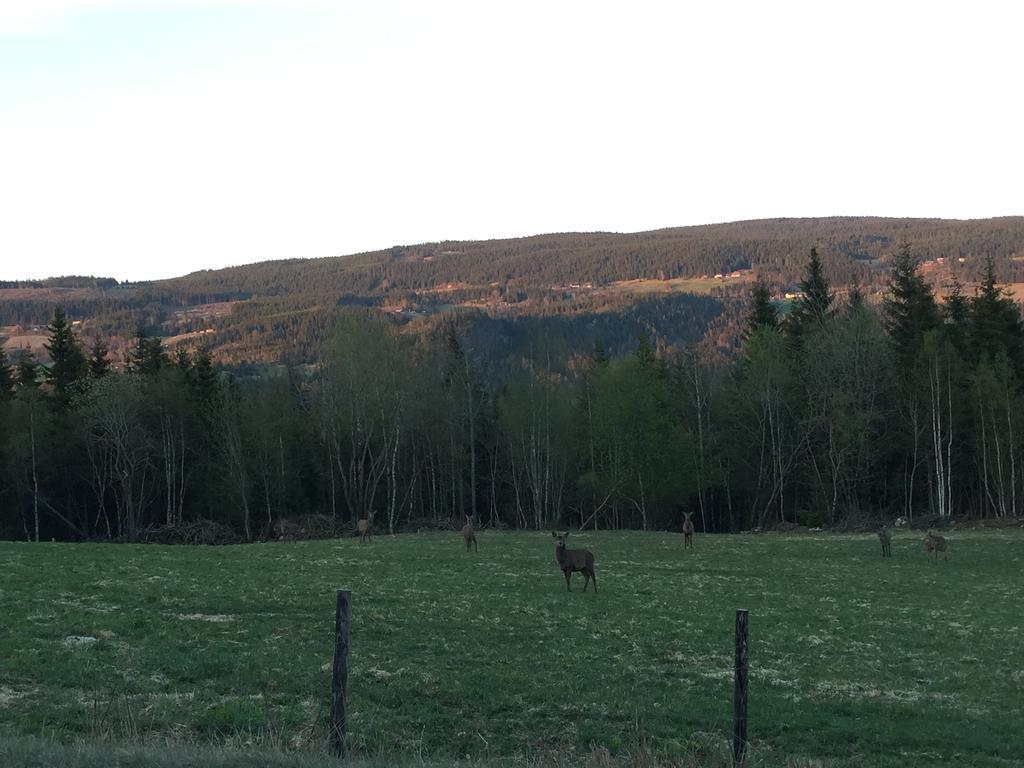 Vila Kvitfjell Ranch Exteriér fotografie