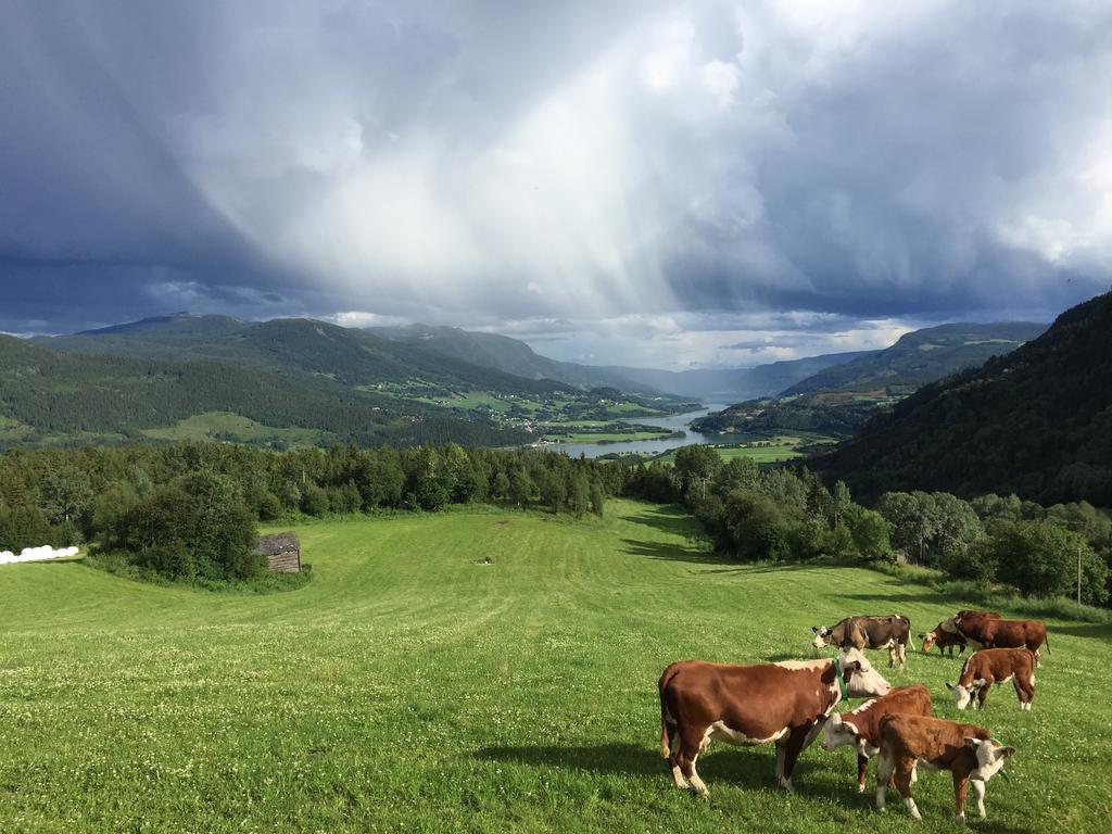 Vila Kvitfjell Ranch Exteriér fotografie