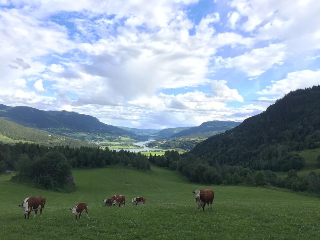 Vila Kvitfjell Ranch Exteriér fotografie